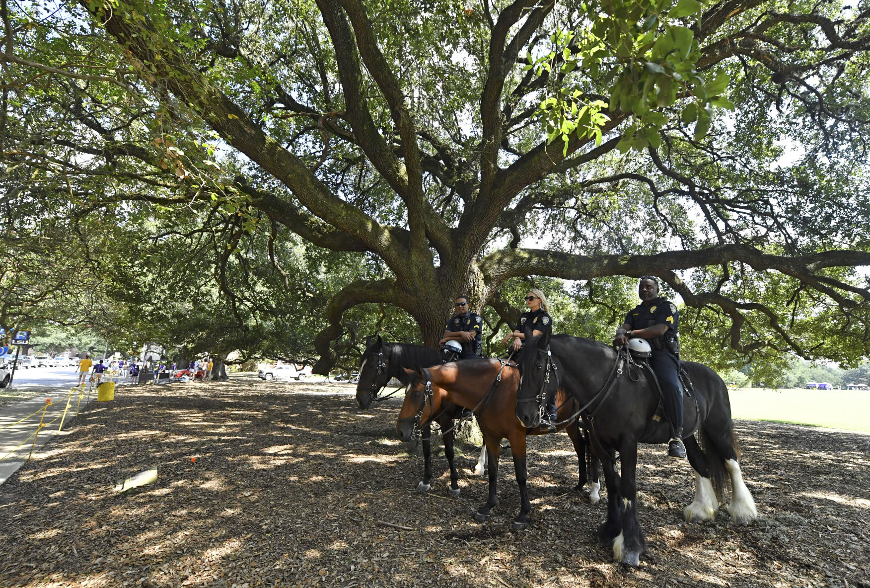 BR.brpdhorses.adv HS 045.JPG